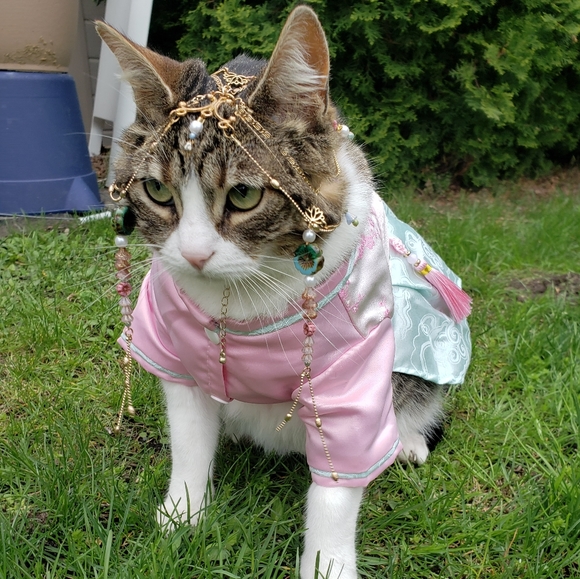 SOLD!! But Commission Me to Make You One!!! - Picture 11 of 17